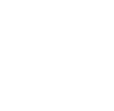 white SME logo