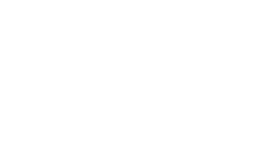 Arctic Wolf company logo white