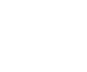 white Black Kite logo