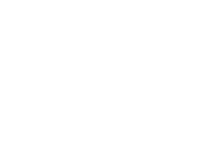 white CyberArk logo
