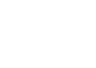 white Dell logo