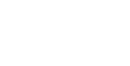 white Palo Alto Networks logo
