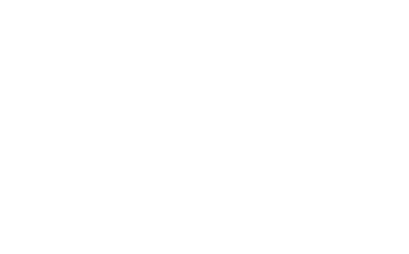 white VAST company logo