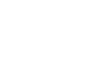white Zerto logo