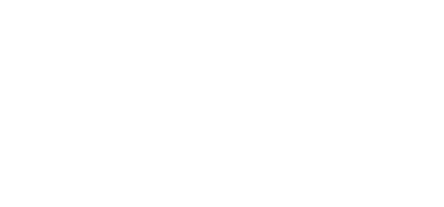 white Zscaler logo